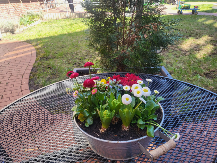 Frühling (2)