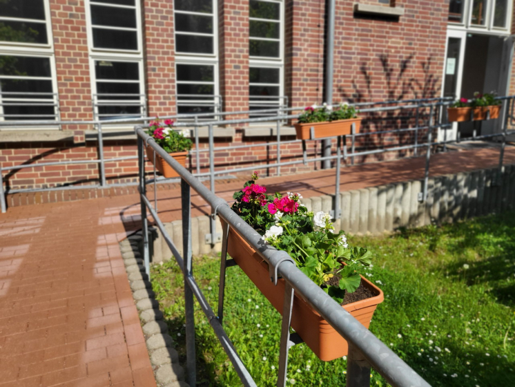 Frühling (4)